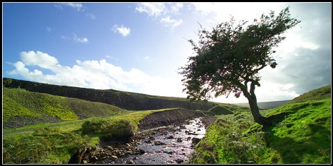 "God will allow those things we put our trust in to disappoint us so we can turn to Him- the one true and LIVING GOD that does not disappoint." -Marissa Vignola